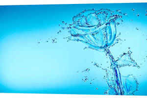 Картина на холсте Декор Карпаты Водяная роза 50х100 см (c633)