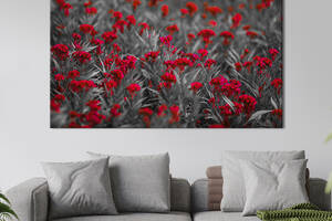 Картина на холсте KIL Art Бархатные полевые цветы 51x34 см (922-1)