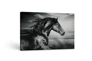 Картина на холсте KIL Art Бег лошади 122x81 см (104)