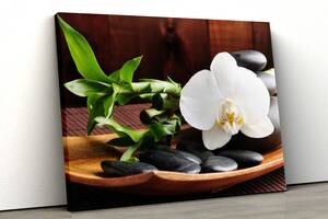 Картина на холсте KIL Art Белая орхидея и камни 81x54 см (366)
