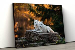 Картина на холсте KIL Art Белые волки 122x81 см (92)
