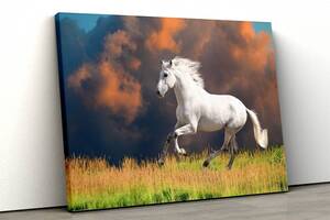 Картина на холсте KIL Art Белый конь 81x54 см (95)