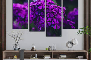 Картина на холсте KIL Art Чарующие цветы флоксы 129x90 см (897-42)