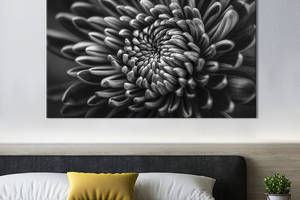 Картина на холсте KIL Art Чёрно-белая хризантема 75x50 см (791-1)