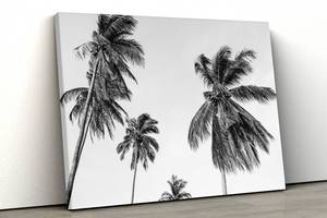 Картина на холсте KIL Art Чёрно-белые пальмы 122x81 см (347)