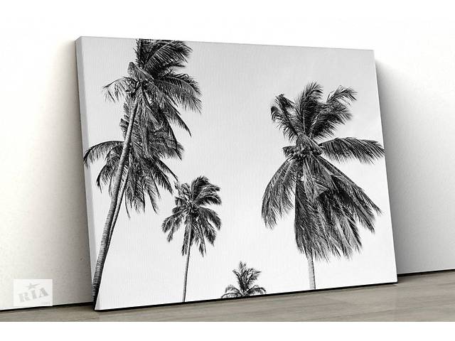 Картина на полотні KIL Art Чорно-білі пальми 122x81 см (347)