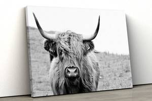 Картина на полотні KIL Art Чорно-білий бик 122x81 см (93)