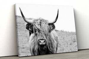 Картина на полотні KIL Art Чорно-білий бик 81x54 см (93)