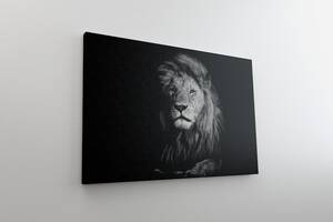 Картина на полотні KIL Art Чорно-білий лев 81x54 см (105)