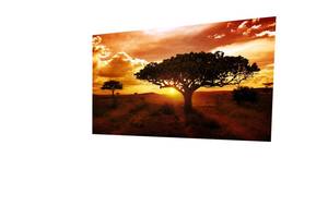 Картина на холсте KIL Art Деревья в саванне 122x81 см (353)