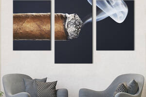 Картина на холсте KIL Art для интерьера в гостиную Дым кубинской сигары 96x60 см (301-32)