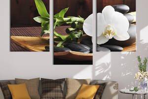 Картина на холсте KIL Art для интерьера в гостиную Эстетическая белая орхидея 141x90 см (63-32)