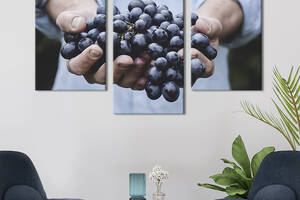 Картина на холсте KIL Art для интерьера в гостиную Гроздь винограда 96x60 см (312-32)