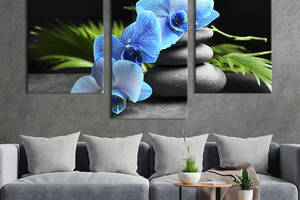Картина на холсте KIL Art для интерьера в гостиную Лазурная орхидея 96x60 см (71-32)