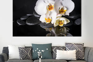 Картина на холсте KIL Art для интерьера в гостиную спальню Белые орхидеи на чёрном фоне 80x54 см (68-1)