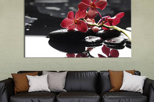 Картина на холсте KIL Art для интерьера в гостиную спальню Орхидея на камнях 51x34 см (61-1)