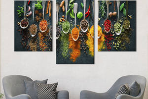 Картина на холсте KIL Art для интерьера в гостиную Индийские специи 66x40 см (306-32)