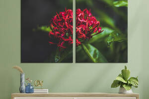 Картина на холсте KIL Art Дикий тропический цветок 165x122 см (913-2)