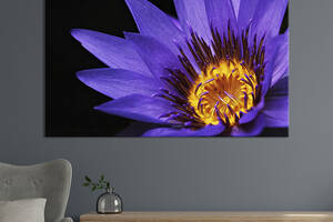 Картина на холсте KIL Art Фиолетовый лотос 75x50 см (1015-1)