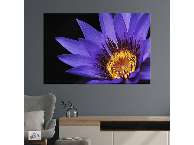 Картина на холсте KIL Art Фиолетовый лотос 75x50 см (1015-1)