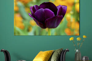 Картина на холсте KIL Art Фиолетовый тюльпан 122x81 см (1003-1)