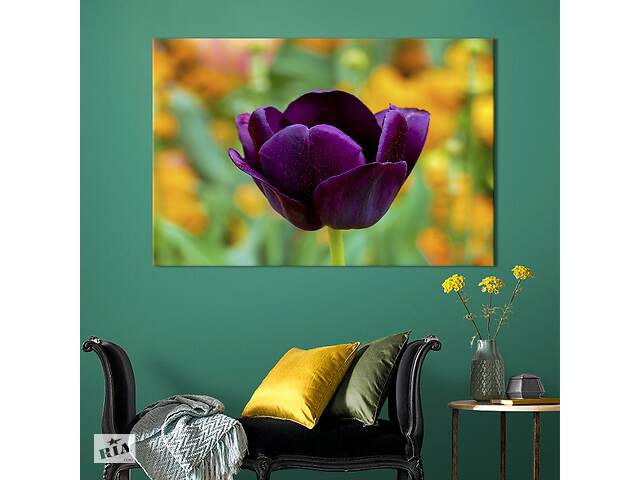 Картина на холсте KIL Art Фиолетовый тюльпан 51x34 см (1003-1)