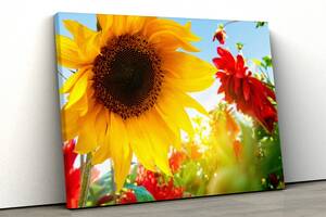 Картина на полотні KIL Art Жоржини та соняшник 81x54 см (369)