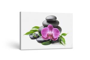 Картина на холсте KIL Art Камни и розовая орхидея 51x34 см (390)