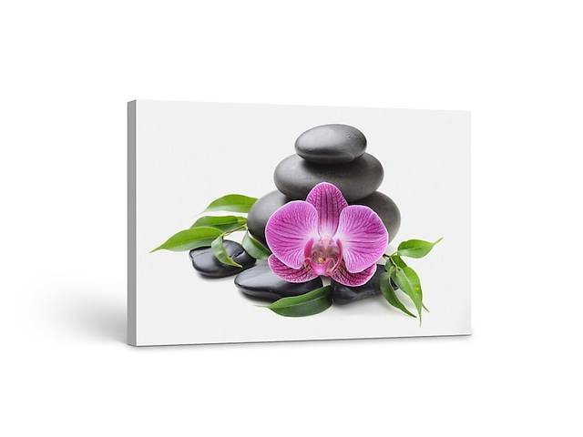 Картина на холсте KIL Art Камни и розовая орхидея 51x34 см (390)