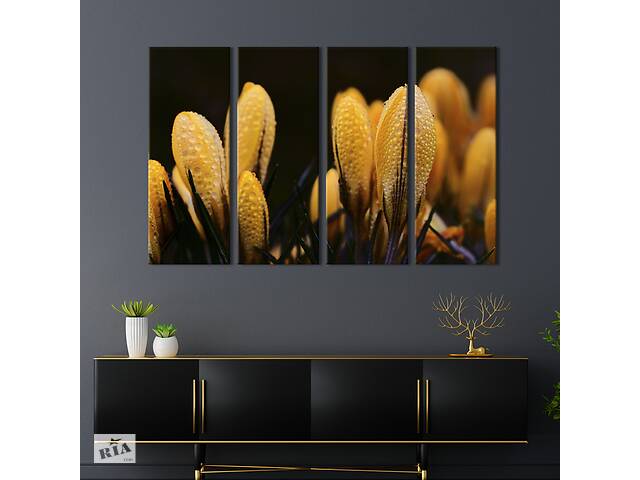 Картина на холсте KIL Art Капельки росы на цветах крокусов 209x133 см (797-41)