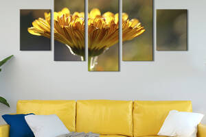 Картина на холсте KIL Art Хрупкий цветок календулы 162x80 см (894-52)