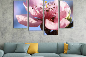 Картина на холсте KIL Art Хрупкий цветок персика 89x56 см (841-42)