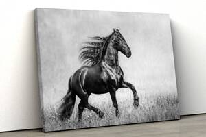 Картина на холсте KIL Art Конь чёрно-белая Картина на холсте KIL Art 81x54 см (107)