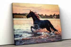 Картина на полотні KIL Art Кінь по воді 81x54 см (99)
