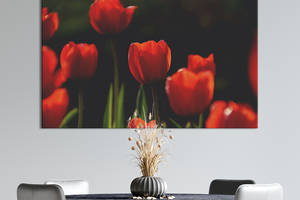 Картина на холсте KIL Art Красные тюльпаны 122x81 см (908-1)
