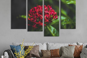 Картина на холсте KIL Art Красный цветок 129x90 см (913-42)