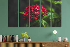 Картина на холсте KIL Art Красный цветок среди зелени 155x95 см (913-51)