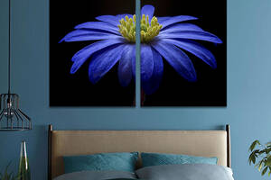 Картина на холсте KIL Art Красивая голубая ромашка 111x81 см (810-2)