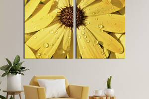 Картина на холсте KIL Art Красивая жёлтая ромашка 71x51 см (836-2)