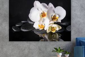 Картина на холсте KIL Art Красивые цветы орхидеи 122x81 см (373)