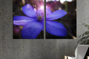 Картина на холсте KIL Art Красивый голубой цветок 111x81 см (827-2)