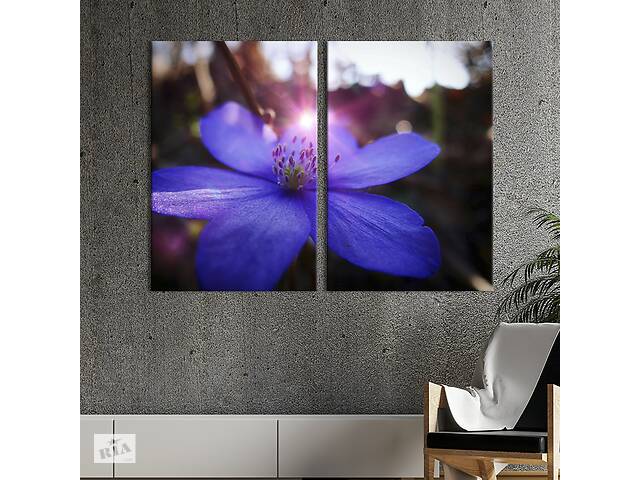 Картина на холсте KIL Art Красивый голубой цветок 71x51 см (827-2)