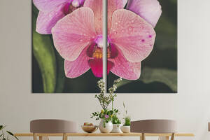 Картина на холсте KIL Art Красивый цветок орхидеи 111x81 см (965-2)