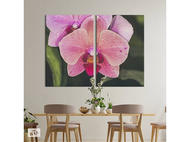 Картина на холсте KIL Art Красивый цветок орхидеи 165x122 см (965-2)