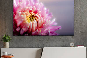 Картина на холсте KIL Art Лепестки розовой хризантемы 122x81 см (812-1)