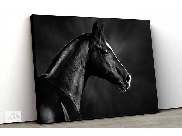 Картина на холсте KIL Art Лошадь в профиль 122x81 см (108)