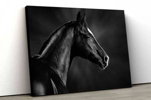 Картина на холсте KIL Art Лошадь в профиль 81x54 см (108)