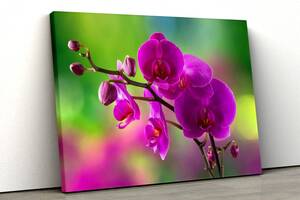 Картина на холсте KIL Art Малиновая орхидея 51x34 см (389)