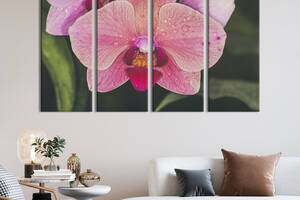 Картина на холсте KIL Art Мраморный розовый цветок орхидеи 209x133 см (965-41)