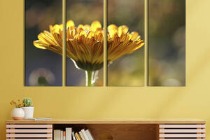 Картина на холсте KIL Art Неотразимый цветок календулы 89x53 см (894-41)